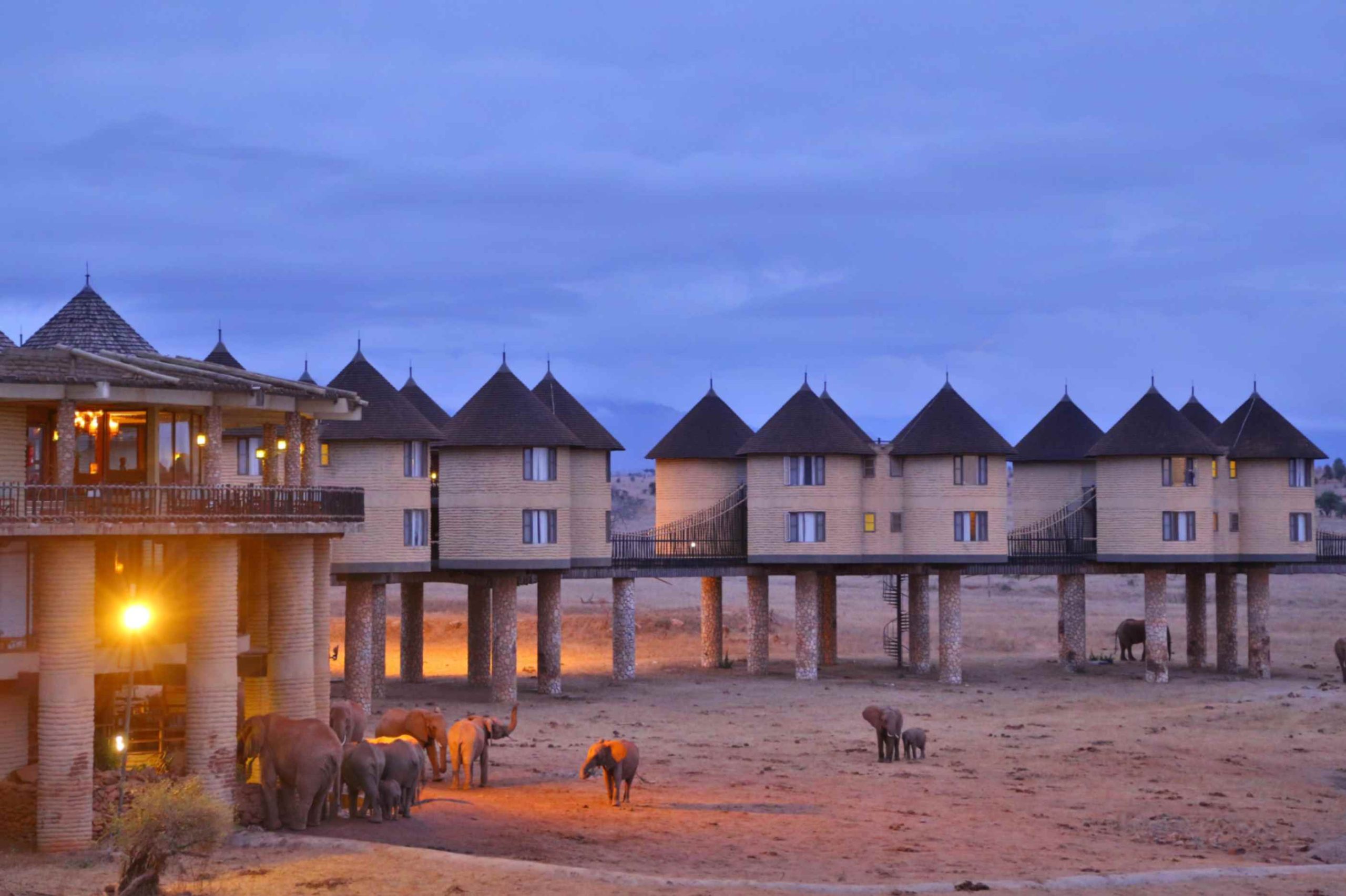 3 Days Tsavo & Taita Hills Safari (Salt Lick Safari Lodge)