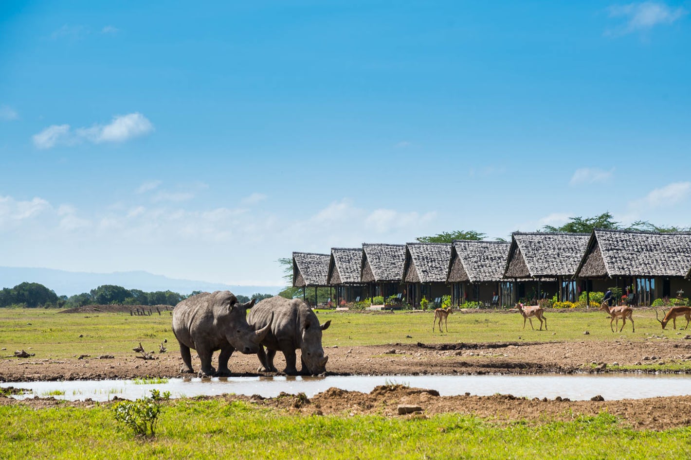 3 Days Sweetwaters: Ol Pejeta Conservancy Safari from Nairobi