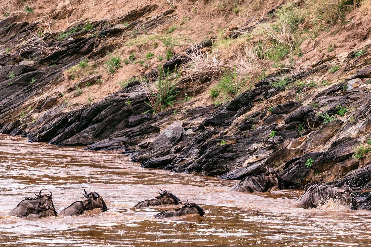4 Days in the Heart of the Maasai Mara Migration